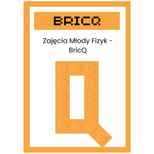 Zajęcia Młody Fizyk - BricQ